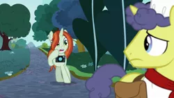 Size: 1280x720 | Tagged: safe, derpibooru import, screencap, crackle cosette, queen chrysalis, shutterbug, stove comet, pony, unicorn, the ending of the end, bag, camera, disguise, disguised changeling, female, male, mare, saddle bag, stallion