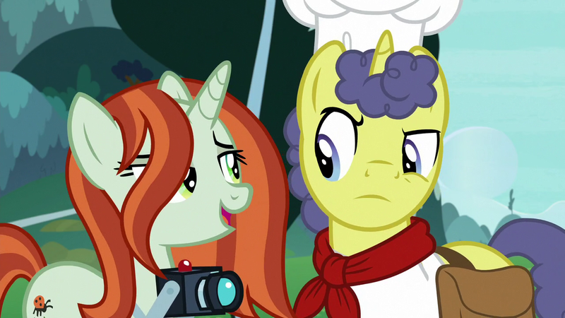 Size: 1280x720 | Tagged: safe, derpibooru import, screencap, crackle cosette, queen chrysalis, shutterbug, stove comet, pony, unicorn, the ending of the end, bag, camera, disguise, disguised changeling, female, male, mare, saddle bag, stallion