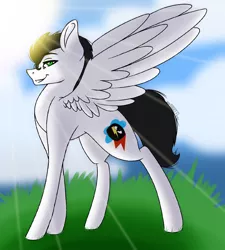Size: 1490x1658 | Tagged: artist needed, safe, derpibooru import, oc, oc:skysprinter, unofficial characters only, pegasus, pony, grass, looking at you, outdoors, sky, solo, sunshine