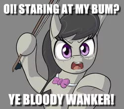 Size: 1955x1719 | Tagged: safe, artist:jellerjar, derpibooru import, edit, octavia melody, angry, bow (instrument), caption, female, image macro, octchavia, solo, text, unamused, vulgar, wanker