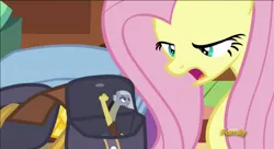 Size: 1366x741 | Tagged: safe, derpibooru import, edit, edited screencap, screencap, discord, fluttershy, limestone pie, earth pony, pegasus, pony, dungeons and discords, discovery family logo, faic, shitposting, why did i make this