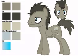 Size: 900x655 | Tagged: safe, artist:ocarinaplaya, derpibooru import, doctor whooves, time turner, pegasus, pony, ask discorded whooves, bags under eyes, discord whooves, discorded, male, missing accessory, race swap, reference sheet, simple background, solo, stallion