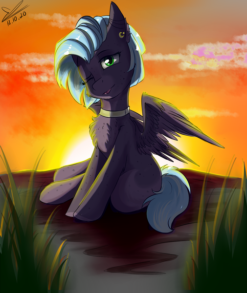 Size: 1280x1520 | Tagged: safe, artist:yuris, derpibooru import, oc, unofficial characters only, pegasus, pony, rock, solo, sunset