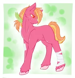 Size: 1020x1056 | Tagged: safe, artist:crescentmyst, derpibooru import, oc, oc:cherry changa, earth pony, pony, bandage, freckles, male, offspring, parent:big macintosh, parent:cheerilee, parents:cheerimac, solo, stallion