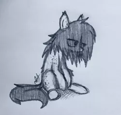 Size: 1500x1428 | Tagged: safe, artist:modocrisma, derpibooru import, oc, oc:sobakasu, unofficial characters only, earth pony, pony, ear fluff, eye clipping through hair, fluffy, freckles, looking away, male, monochrome, paper, pencil, photo, ponysona, signature, sitting, solo, teenager, traditional art, watermark