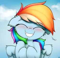 Size: 2500x2400 | Tagged: safe, artist:heavymetalbronyyeah, derpibooru import, rainbow dash, pegasus, pony, blushing, cheek fluff, cute, dashabetes, ear fluff, eyes closed, floppy ears, happy, sky, smiling, smiling at you, solo, squee, weapons-grade cute, wings
