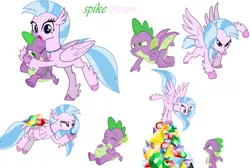 Size: 6399x4288 | Tagged: safe, derpibooru import, edit, silverstream, spike, dragon, hippogriff, female, gem, looking at you, male, shipping, simple background, spikestream, straight, stuffed, stuffed belly, vector, white background, winged spike