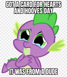 Size: 840x970 | Tagged: safe, derpibooru import, spike, dragon, abuse, bad day, bad luck, caption, crying, heartbreak, hearts and hooves day, i can't believe it's not useraccount, image macro, implied gay, male, single, spikeabuse, sucks to be him, text