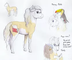 Size: 2000x1674 | Tagged: safe, artist:lady-limule, derpibooru import, oc, oc:almond, unofficial characters only, bird, earth pony, pony, toucan, earth pony oc, female, glasses, mare, reference sheet, story included, traditional art