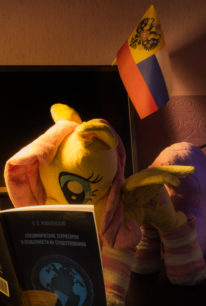 Size: 3084x4585 | Tagged: safe, derpibooru import, fluttershy, pegasus, pony, book, clothes, cyrillic, flag, plushie, reading, russia, russian, socks