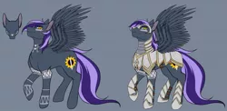 Size: 1472x716 | Tagged: safe, artist:lunaonyx, derpibooru import, oc, oc:commander lucid dreams, unofficial characters only, pegasus, pony, armor, cutie mark, male, pegasus oc, reference sheet, royal guard, royal guard armor, solo, stallion, tribal, wings, yellow eyes