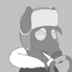 Size: 2000x2000 | Tagged: safe, artist:a_friendly_guest, derpibooru import, oc, oc:chocolate fudge, clothes, gas mask, gp-5, hat, jacket, latex, mask, ushanka