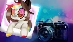Size: 1080x618 | Tagged: safe, artist:rxndxm.artist, derpibooru import, oc, unofficial characters only, earth pony, pony, bow, bust, camera, earth pony oc, female, hair bow, mare, multicolored hair, photo, rainbow hair, solo, sunglasses