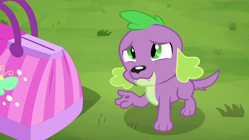 Size: 1280x720 | Tagged: safe, derpibooru import, edit, edited screencap, editor:slayerbvc, screencap, spike, spike the regular dog, dog, equestria girls, equestria girls series, the road less scheduled, the road less scheduled: fluttershy, spoiler:eqg series (season 2), accessory-less edit, handbag, looking up, male, missing accessory, paw pads, paws, solo, underpaw