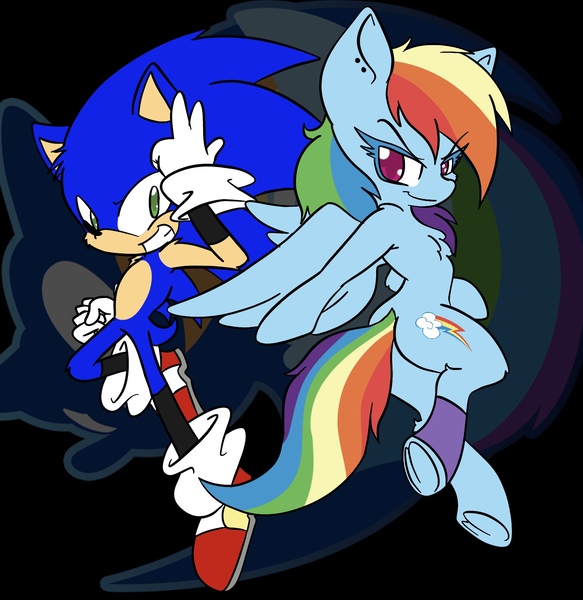 Size: 1536x1582 | Tagged: safe, artist:steelsoul, derpibooru import, rainbow dash, pegasus, semi-anthro, duo, sonic the hedgehog, sonic the hedgehog (series), wings