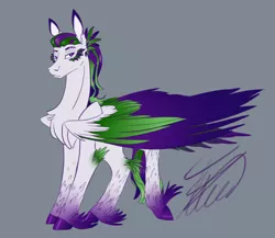 Size: 2300x2000 | Tagged: safe, artist:crystalcontemplator, derpibooru import, oc, unofficial characters only, pegasus, pony, chest fluff, colored hooves, feathered fetlocks, gray background, pegasus oc, signature, simple background, solo, unshorn fetlocks, wings