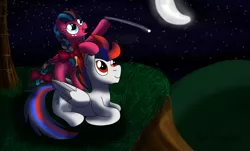 Size: 5030x3030 | Tagged: safe, artist:lynnthenerdkitty, derpibooru import, pegasus, pony, crossover, night, stargazing, starscream, transformers, windblade