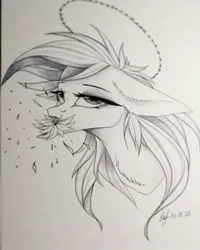 Size: 1080x1350 | Tagged: safe, artist:_quantumness_, derpibooru import, oc, unofficial characters only, earth pony, pony, bedroom eyes, bust, earth pony oc, floppy ears, flower, makeup, monochrome, mouth hold, signature, solo, traditional art