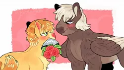Size: 1280x724 | Tagged: safe, artist:mylittlegami, derpibooru import, dumbbell, feather bangs, earth pony, pegasus, pony, blushing, bouquet, crack shipping, dumbbangs, flower, gay, looking at you, male, missing cutie mark, mouth hold, rose, shipping, size difference, stallion