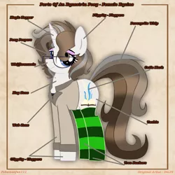 Size: 5000x5000 | Tagged: safe, artist:pokemonfan111, derpibooru import, oc, unofficial characters only, pony, unicorn, clothes, cute, digital art, equine anatomy, socks, solo, striped socks