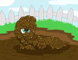 Size: 1400x1088 | Tagged: safe, alternate version, artist:amateur-draw, derpibooru import, pear butter, earth pony, pony, female, lying down, mare, mud, mud bath, muddy, pig pen, simple background, solo, wet and messy