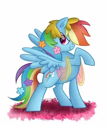 Size: 1280x1494 | Tagged: safe, artist:neondromeda, derpibooru import, rainbow dash, pegasus, pony, female, flower, flower in hair, mare, raised hoof, simple background, solo, white background