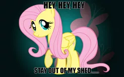 Size: 1280x800 | Tagged: safe, derpibooru import, fluttershy, .mov, shed.mov, adoracreepy, caption, creepy, cute, cutie mark background, looking at you, meme, one hoof raised, reference, shyabetes, smiling, solo, stay out of my shed, text