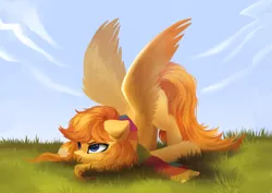 Size: 4093x2894 | Tagged: safe, artist:sofiko-ko, derpibooru import, oc, oc:amber dart, unofficial characters only, pegasus, pony, clothes, disgruntled, female, high res, scarf, solo, spread wings, wings