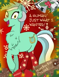 Size: 2394x3096 | Tagged: safe, artist:qnight, derpibooru import, lyra heartstrings, pony, unicorn, chest fluff, christmas, christmas decoration, christmas lights, clothes, holiday, impossibly large chest fluff, looking at you, open mouth, snow, snowflake, socks, solo, that pony sure does love humans