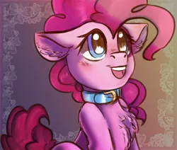 Size: 2545x2160 | Tagged: safe, artist:brainiac, derpibooru import, pinkie pie, earth pony, pony, chest fluff, collar, colored sketch, female, mare, pet play, puppy pie, solo