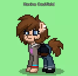 Size: 498x486 | Tagged: safe, derpibooru import, pony, pony town, female, green background, image, life is strange, maxine caulfield, pixel art, png, simple background, solo