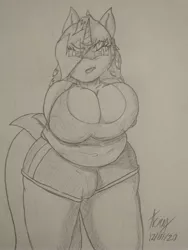 Size: 3456x4608 | Tagged: suggestive, artist:acrylicbristle, derpibooru import, oc, oc:acrylic bristle, unofficial characters only, anthro, unicorn, anthro oc, bbw, belly, big breasts, black and white, breasts, chubby, cleavage, clothes, crotch bulge, curvy, dickgirl, fat, flustered, fupa, futa, grayscale, huge breasts, impossibly large breasts, intersex, lipstick, long hair, looking at you, monochrome, shorts, signature, sketch, solo, solo futa, sports shorts, sporty style, squishy, tanktop, thick, thighs, thunder thighs, traditional art, transgender, wide hips, wip