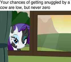 Size: 1932x1686 | Tagged: safe, artist:badumsquish, derpibooru import, rarity, cow, cow pony, pony, bedroom eyes, curtain, eyes on the prize, eyeshadow, female, imma snuggle you, looking at you, makeup, mare, meme, ponified animal photo, raricow, show accurate, smiling, smirk, solo, species swap, sunset, this will end in snuggles, window, your chances are low but never zero