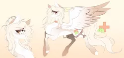 Size: 7759x3654 | Tagged: safe, artist:lazuli, derpibooru import, oc, unofficial characters only, pegasus, pony, bust, chest fluff, choker, colored hooves, gradient background, pegasus oc, reference sheet, wings