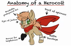 Size: 2538x1645 | Tagged: safe, artist:steelsoul, derpibooru import, oc, oc:himmel, unofficial characters only, earth pony, pony, anatomy guide, bandage, clothes, cute, earth pony oc, gloves, looking at you, scarf, simple background, white background