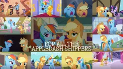 Size: 1280x721 | Tagged: safe, derpibooru import, edit, edited screencap, editor:quoterific, screencap, applejack, bon bon, doctor whooves, rainbow dash, sweetie drops, time turner, twilight sparkle, earth pony, pegasus, unicorn, applebuck season, castle mane-ia, fall weather friends, friendship is magic, make new friends but keep discord, non-compete clause, over a barrel, rarity takes manehattan, swarm of the century, the crystal empire, the last problem, the saddle row review, appledash, bound wings, carousel boutique, castle of the royal pony sisters, collage, female, golden oaks library, lesbian, library, older, older applejack, older rainbow dash, shipping, unicorn twilight, wings