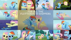 Size: 1280x721 | Tagged: safe, derpibooru import, edit, edited screencap, editor:quoterific, screencap, fluttershy, rainbow dash, tank, a hearth's warming tail, dragon quest, flutter brutter, hurricane fluttershy, may the best pet win, party of one, secret of my excess, sonic rainboom (episode), spike at your service, tanks for the memories, the crystal empire, trade ya, armor, clothes, cloud, collage, female, flutterdash, fluttershy's cottage, lesbian, shipping, slippers, tank slippers