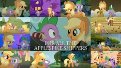 Size: 1280x720 | Tagged: safe, derpibooru import, edit, edited screencap, editor:quoterific, screencap, applejack, pinkie pie, rainbow dash, spike, twilight sparkle, dragon, earth pony, pegasus, pony, unicorn, a dog and pony show, apple family reunion, fall weather friends, feeling pinkie keen, princess twilight sparkle (episode), secret of my excess, spike at your service, the ticket master, applespike, book, collage, element of honesty, element of kindness, element of laughter, female, fence, fishing rod, golden oaks library, hat, hay bale, library, male, party hat, rock, shipping, straight, unicorn twilight