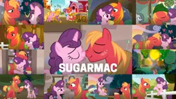 Size: 1280x721 | Tagged: safe, derpibooru import, edit, edited screencap, editor:quoterific, screencap, applejack, big macintosh, little mac, luster dawn, marble pie, sugar belle, best gift ever, hard to say anything, marks for effort, the big mac question, the break up breakdown, the last problem, apple, apple tree, cart, collage, female, food, intertwined trees, male, pear tree, shipping, side chick, straight, sugarmac, tree
