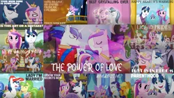 Size: 1280x720 | Tagged: safe, derpibooru import, edit, edited screencap, editor:quoterific, screencap, applejack, chickadee, hayseed turnip truck, ms. peachbottom, princess cadance, princess flurry heart, rarity, shining armor, a canterlot wedding, a flurry of emotions, best gift ever, games ponies play, once upon a zeppelin, slice of life (episode), the beginning of the end, the crystal empire, the crystalling, the one where pinkie pie knows, collage, element of generosity, element of honesty, female, male, shiningcadance, shipping, star flurry heart, straight