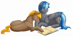 Size: 1280x650 | Tagged: safe, artist:imreer, derpibooru import, oc, oc:cloud zapper, unofficial characters only, earth pony, pegasus, pony, book, duo, earth pony oc, lying down, pegasus oc, prone, reading, simple background, white background, wings