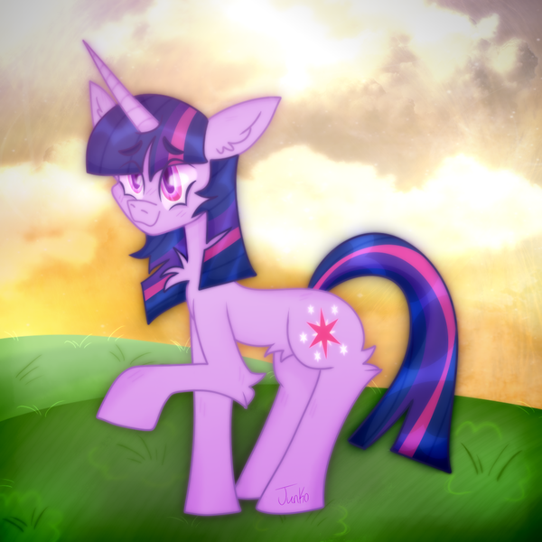 Size: 1000x1000 | Tagged: safe, artist:junko, derpibooru import, twilight sparkle, pony, unicorn, art, chest fluff, cloud, digital art, ear fluff, female, grass, grass field, mare, paint tool sai, raised hoof, signature, solo, unicorn twilight