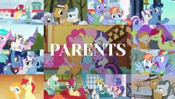 Size: 1976x1113 | Tagged: safe, derpibooru import, edit, edited screencap, editor:quoterific, screencap, applejack, aquamarine, bow hothoof, bright mac, cloudy quartz, cookie crumbles, fluttershy, gentle breeze, hondo flanks, igneous rock pie, limestone pie, linky, lyra heartstrings, night light, pear butter, pinkie pie, posey shy, rainbow dash, rarity, shoeshine, sweetie belle, twilight sparkle, twilight velvet, windy whistles, earth pony, pegasus, unicorn, a canterlot wedding, flutter brutter, hearthbreakers, inspiration manifestation, magical mystery cure, parental glideance, sisterhooves social, the crystalling, the cutie mark chronicles, the perfect pear, dad six, group hug, hug, kissing, looking at each other, mane six, mom six, unicorn twilight