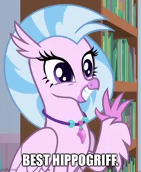 Size: 500x613 | Tagged: safe, derpibooru import, edit, edited screencap, screencap, silverstream, classical hippogriff, hippogriff, a horse shoe-in, best hippogriff, best pony, bookshelf, caption, cheerful, claws, cropped, cute, diastreamies, female, grin, image macro, imgflip, jewelry, necklace, smiling, solo, talons, teenager, text, waving