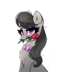 Size: 2000x2000 | Tagged: safe, artist:confetticakez, derpibooru import, octavia melody, earth pony, pony, blushing, bowtie, chest fluff, cute, female, flower, flower in mouth, high res, looking at you, mare, mouth hold, romantic, rose, rose in mouth, simple background, solo, tavibetes, white background