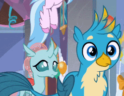 Size: 390x303 | Tagged: safe, derpibooru import, screencap, gallus, ocellus, silverstream, smolder, changedling, changeling, gryphon, hippogriff, she's all yak, animated, cropped, cute, diaocelles, duo focus, female, gallabetes, gasp, gasping, gif, male