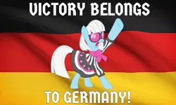Size: 1280x768 | Tagged: caption, derpibooru import, flag, flag waving, german flag, germany, meme, obligatory pony, one hoof raised, open mouth, photo finish, safe, text
