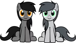Size: 5772x3288 | Tagged: safe, artist:rads, derpibooru import, oc, oc:blacknope, oc:rads, unofficial characters only, pegasus, pony, absurd resolution, base used, duo, female, high res, image, mare, png, simple background, sitting, transparent background, vector, wings