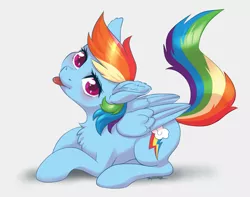 Size: 4105x3232 | Tagged: safe, artist:taytinabelle, derpibooru import, rainbow dash, pegasus, pony, :p, behaving like a cat, blushing, chest fluff, cute, dashabetes, dock, ear fluff, female, looking at you, looking up, mare, raised tail, simple background, solo, tail, tongue out, white background