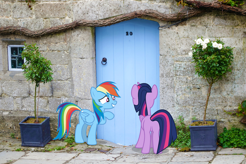 Size: 1920x1280 | Tagged: safe, artist:luckreza8, artist:peter muskrat, derpibooru import, edit, editor:jaredking203, vector edit, rainbow dash, twilight sparkle, twilight sparkle (alicorn), alicorn, pegasus, pony, door, female, irl, mare, photo, ponies in real life, story included, vector